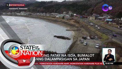 Libo-libong patay na isda, bumalot sa isang dalampasigan sa Japan | SONA