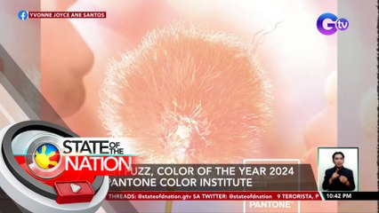 Peach Fuzz, Color of the Year 2024 ng Pantone Color Institute | SONA