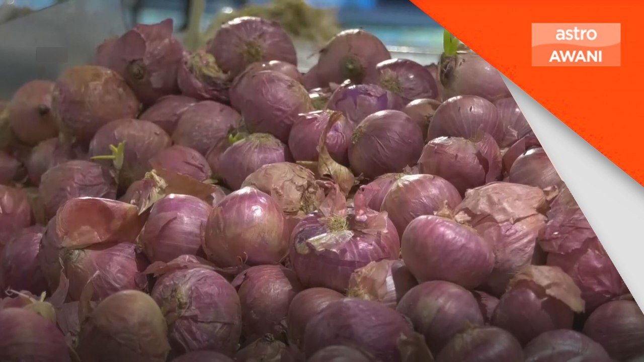 India larang eksport bawang
