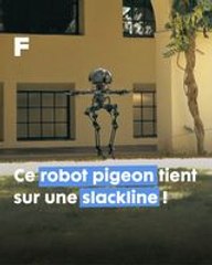Léonardo, la fusion innovante entre un robot oiseau et un drone !