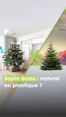 Sapin Naturel vs. Plastique : le duel écolo | Décryptage du choix parfait pour un noël vert !