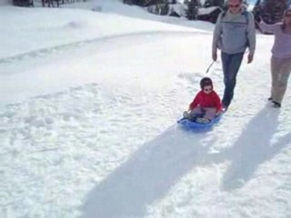 c'est cool les promenades en luge !!