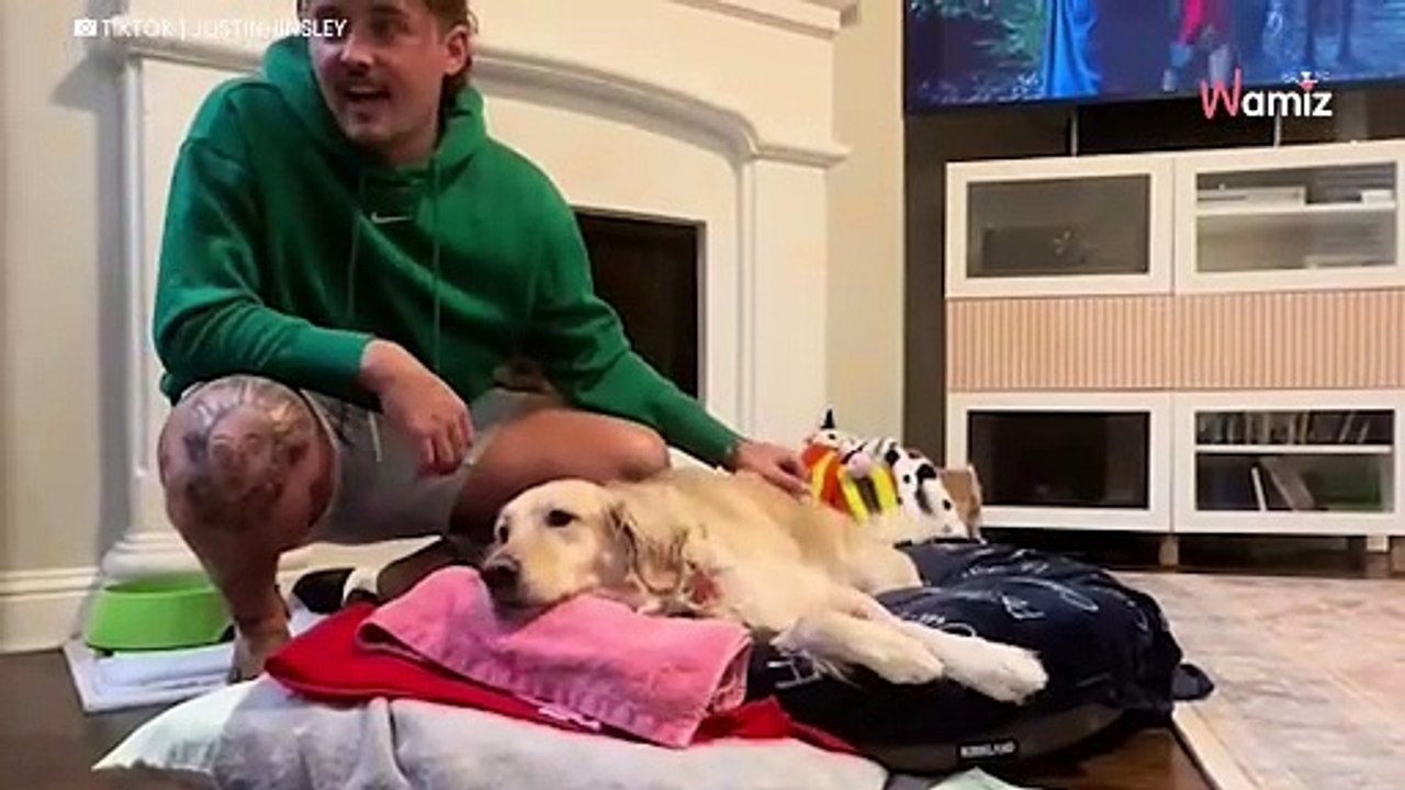Fa un ultimo regalo al suo cane prima di dirgli addio: 2 milioni di persone in lacrime (Video)