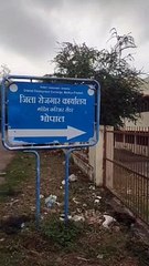 सवा साल में 28 कंपनियां आईं, इसके बाद भी बेराेजगारों की लंबी कतार, बीई, बीएड, डीएड रोजगार की कतार में