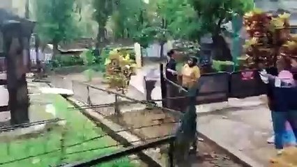 Jalan-Jalan Ke Kebun Binatang, Melihat Rusa Dan Gajah