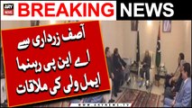 Asif Zardari Se ANP Rehnuma Aimal Wali Ki Mulaqaat