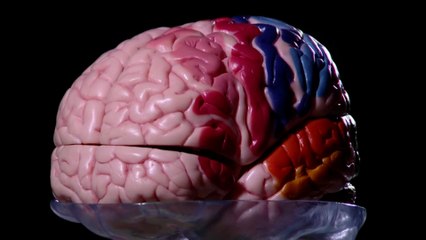 Así piensa él, así piensa ella