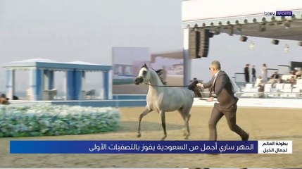 AR OOV HORSE A & HORSE B 081223