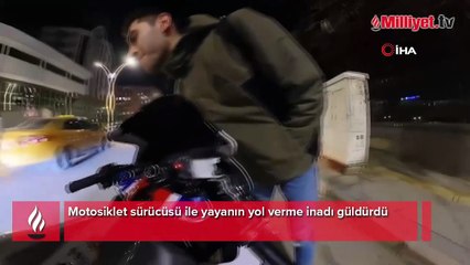 Böyle inat görülmedi: 'Önce sen geç' deyip karar vermek için yazı tura attılar