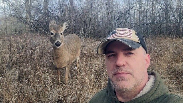 White-tailed Deer Loves Shakespeare
