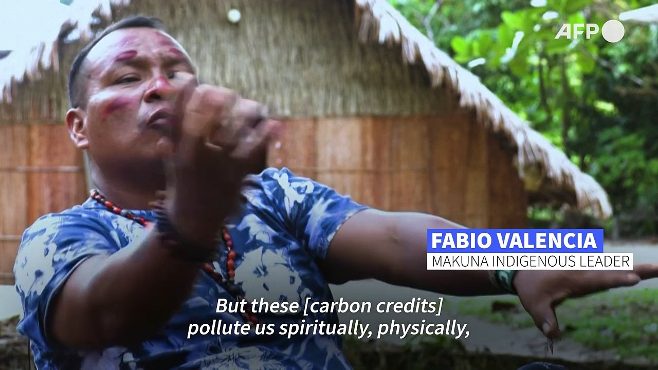 'It destroys everything': Amazon community fights carbon credit project