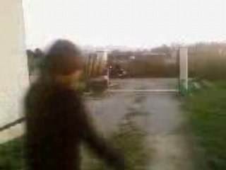 La Dance des Lapinous