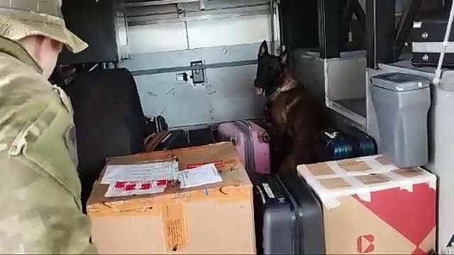 BPFron apreende menor com 20 quilos de maconha no Terminal Rodoviário de Umuarama