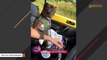 Woman adopts black pit bull because no one else would