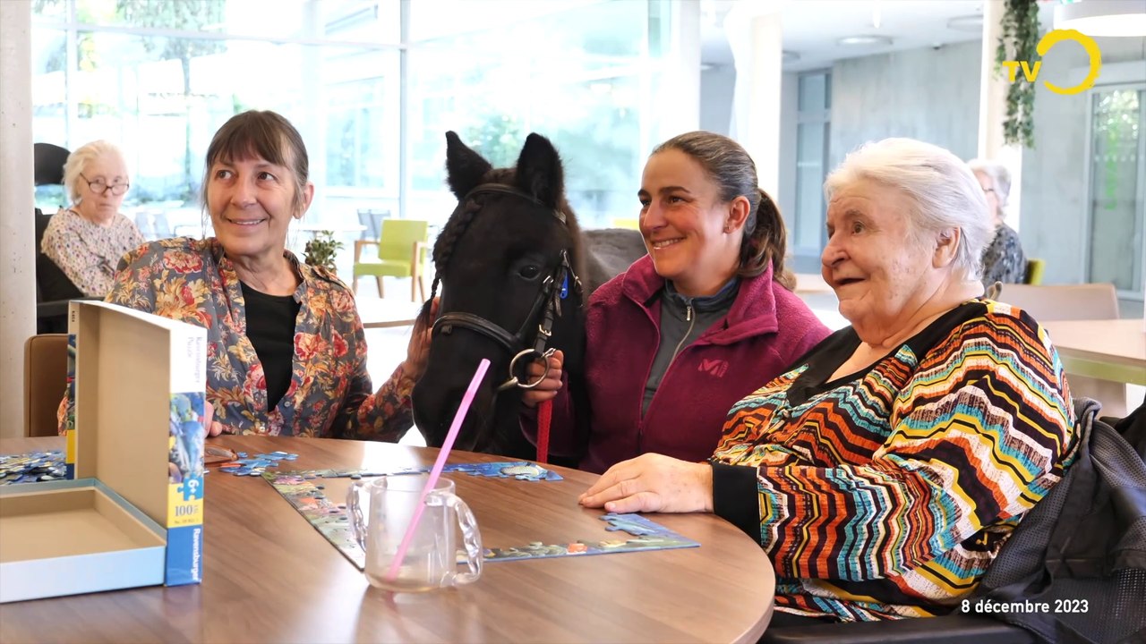 Sujet: Un poney à Butini