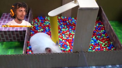 Hamster VS MINECRAFT Prison Maze in Real Life!