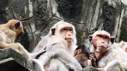 Look At Old Mothers Mekala And Barry Feel Sadness (720p_25fps_H264-192kbit_AAC)