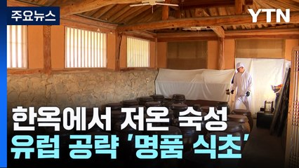 한옥에서 저온 숙성...유럽 공략 '명품 식초' / YTN
