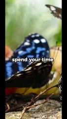 Improve yourself and everything else will come to you