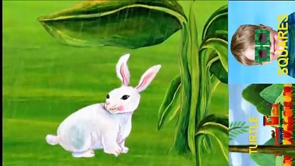 Mengenal ABC_R_Untuk Mengenal Hewan (Rabbit)