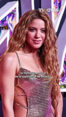 Shakira y Piqué habrían perdido a una bebé