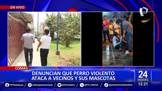 Comas: Vecinos denuncian pitbull suelto en parque que ataca a otras mascotas
