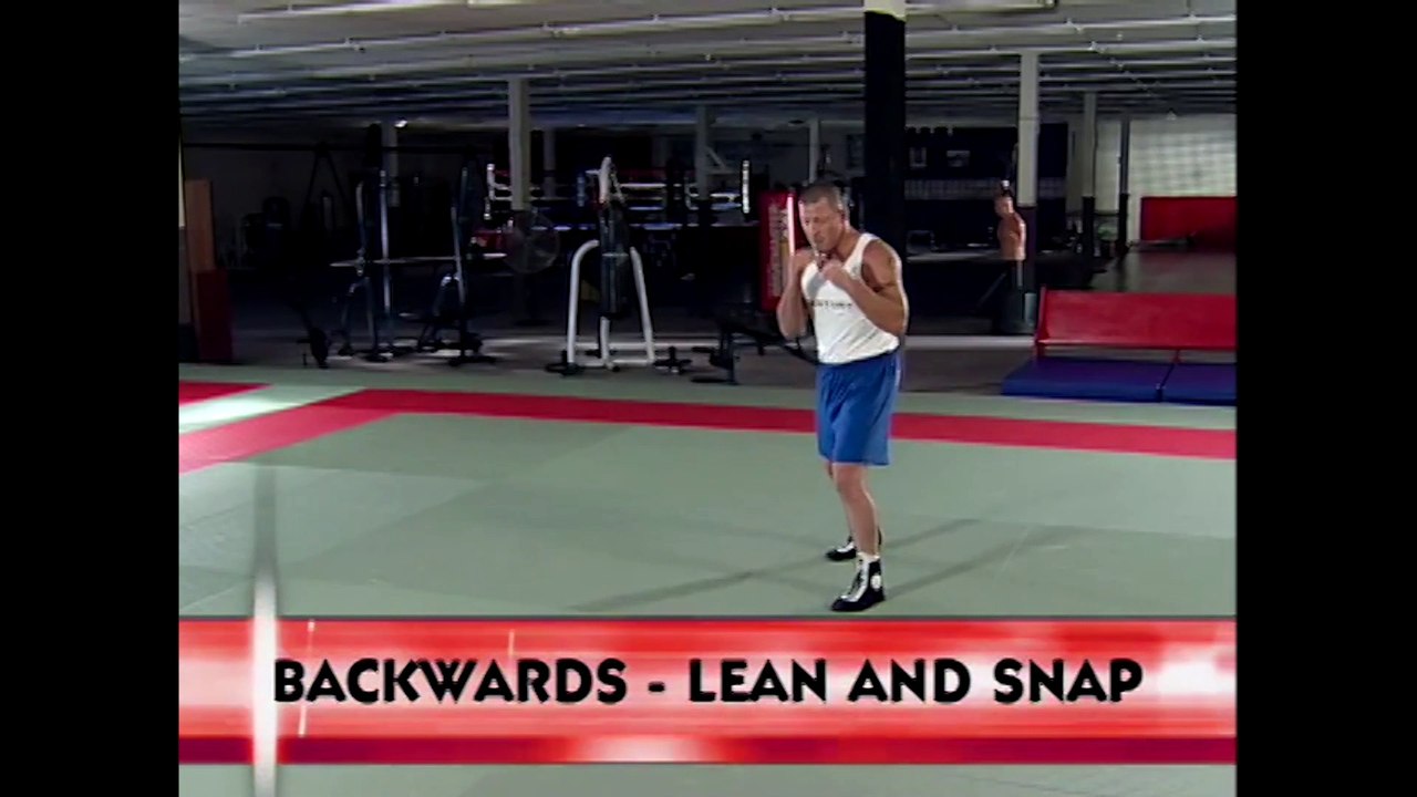 Pat Miletich Learn to Fight and Win: Volume 1- Stand Up Fighting