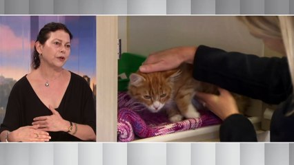 'Village aunties' giving new mothers a helping hand