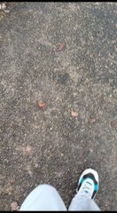 à la rencontre de la nature si proche de nous