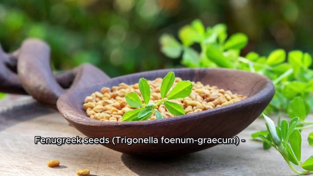 Natural Herbal Tea for Diabetes Management | A Holistic Approach to Health