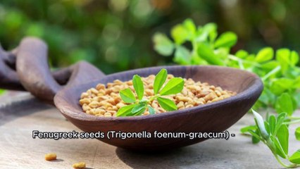 Natural Herbal Tea for Diabetes Management | A Holistic Approach to Health