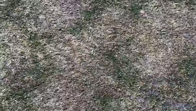 स्टार क्रिकेटर मोहम्मद शमी का आलीशान फार्म हाउस देखा है? देखें वीडियो