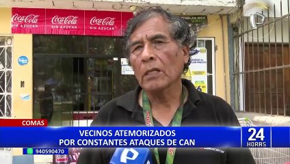 Comas: Vecinos denuncian pitbull suelto en parque que ataca a otras mascotas