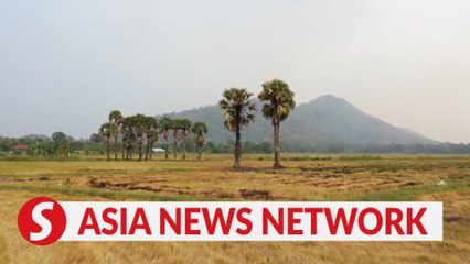 Vietnam News | The Sweetest Of Treats