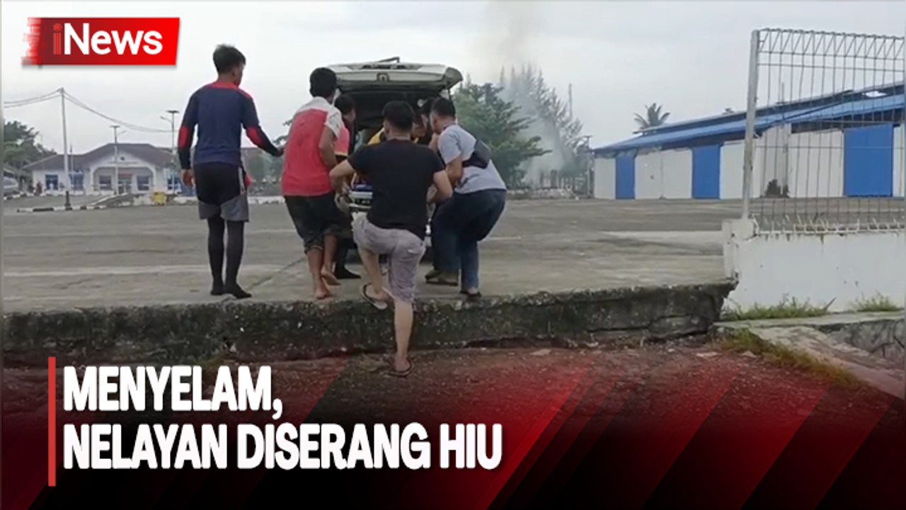 Menyelam Cari Gurita, Nelayan di Nias Kritis Setelah Diserang Hiu