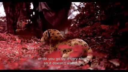 O Perfume da Memória Bande-annonce (EN)