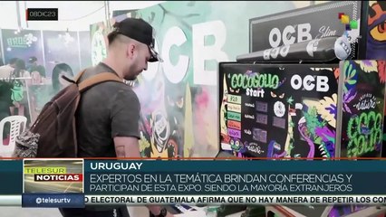 Uruguay: Aumenta la industria del Cannabis desde su despenalización