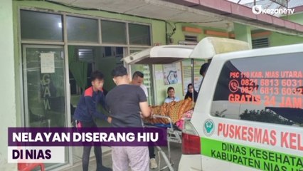 Nelayan di Nias Diserang Hiu saat Menyelam Cari Gurita, Korban Kritis