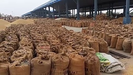 Video : जिला प्रशासन का नहीं ध्यान, मंडी चढ़ी अव्यवस्थाओं की भेंट