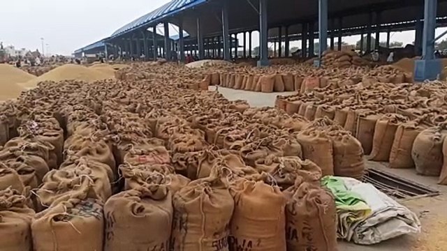 Video : जिला प्रशासन का नहीं ध्यान, मंडी चढ़ी अव्यवस्थाओं की भेंट