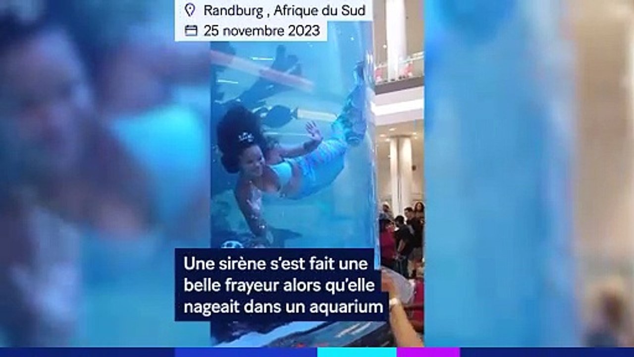 Le spectacle ne se termine pas comme un conte de fées