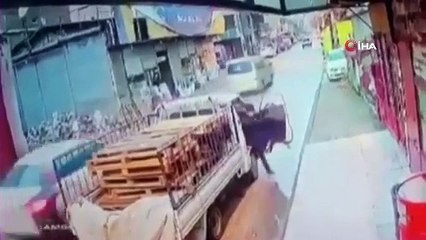 Görüntüler Bursa'dan... Hırsızlık anları kamerada