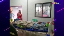 Gajah Jenguk Tuannya yang Terbaring di Rumah Sakit