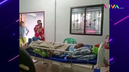 Gajah Jenguk Tuannya yang Terbaring di Rumah Sakit