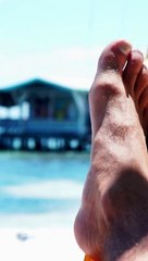 Mindful Movement Tai Chi Essentials