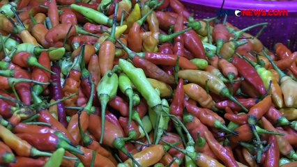 Harga Bahan Pangan Kian Meroket di Pasar Tradisional Jakarta