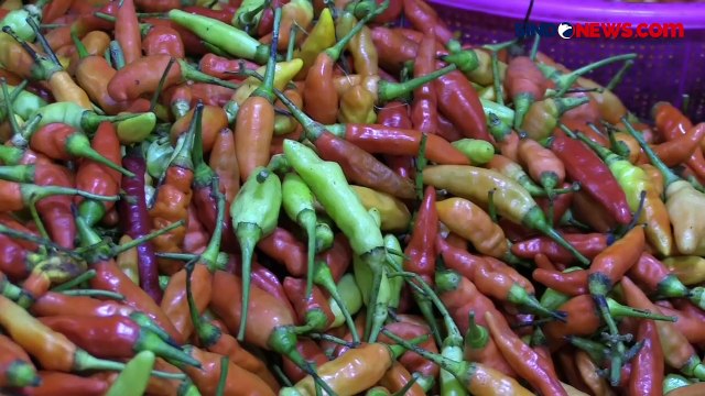 Harga Bahan Pangan Kian Meroket di Pasar Tradisional Jakarta