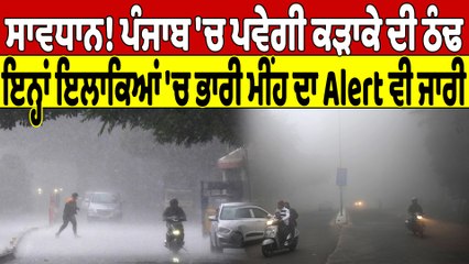 ਸਾਵਧਾਨ! ਪੰਜਾਬ 'ਚ ਪਵੇਗੀ ਕੜਾਕੇ ਦੀ ਠੰਢ, ਇਨ੍ਹਾਂ ਇਲਾਕਿਆਂ 'ਚ ਭਾਰੀ ਮੀਂਹ ਦਾ Alert ਵੀ ਜਾਰੀ |OneIndia Punjabi