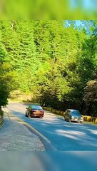 Beautiful View Road of Nathia Gali Pakistan
