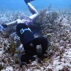 The Biggest Fish Live in Caves